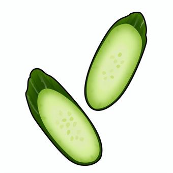 斜め切りにしたきゅうりのリアルイラスト きゅうり,斜め切り,野菜,夏野菜,健康,ヘルシー,栄養,食育,献立,レシピのイラスト素材