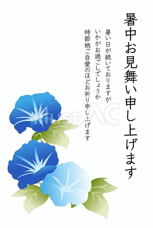 暑中見舞い3 暑中見舞い,夏,アサガオのイラスト素材