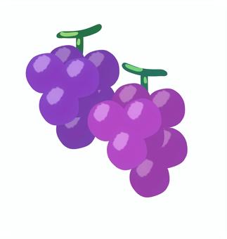 ぶどうのイラスト ぶどう,ぶどう狩り,デザート,秋,秋の味覚,山地直送,お取り寄せ,果樹園,素材,イラストのイラスト素材