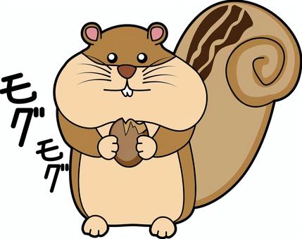リスどんぐり リスどんぐり リス,どんぐり,木の実,秋,食欲,食べる,かわいい,動物,デフォルメ,キャラのイラスト素材