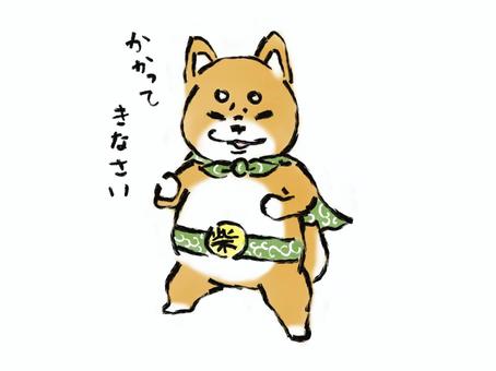 Illustration, dog, shiba inu, dandelion, 