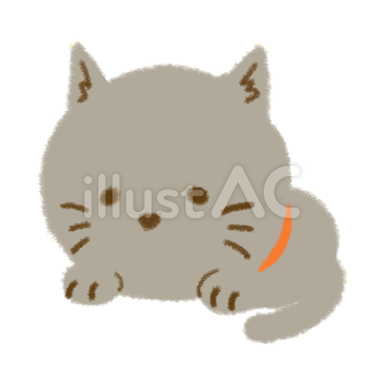 猫　灰 猫,動物,ペットのイラスト素材
