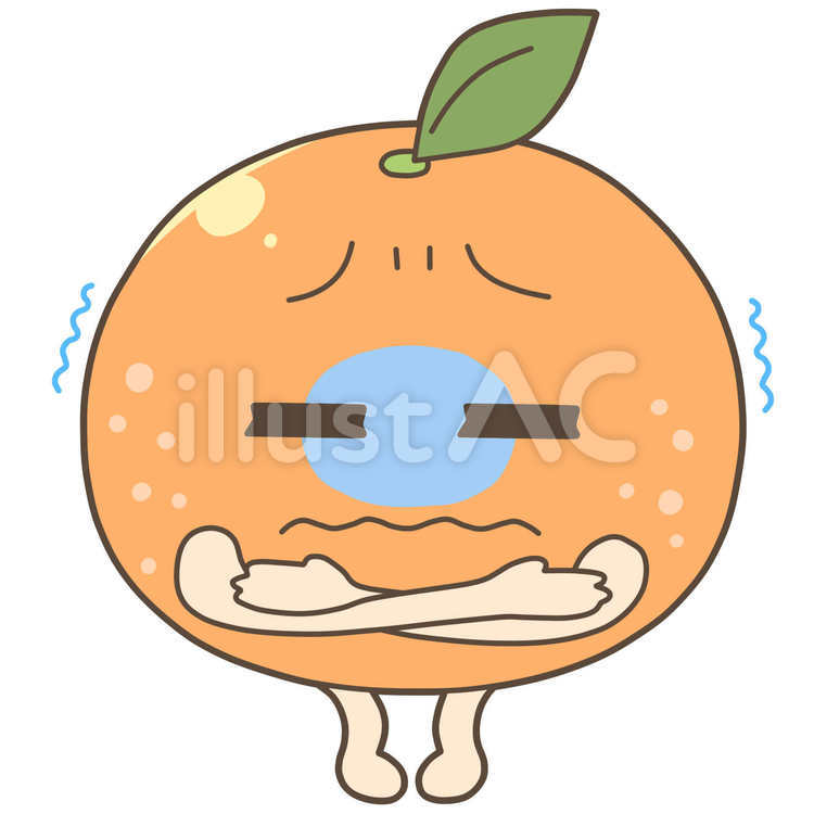 寒さに弱いみかん みかん,果物,食べ物のイラスト素材