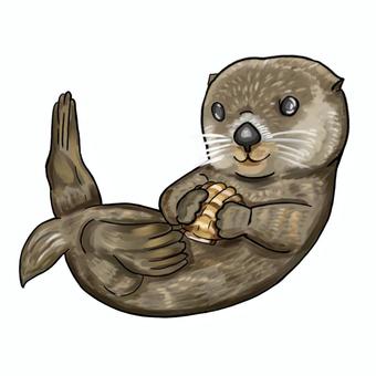 ラッコ ラッコ,貝,可愛い,海,生物のイラスト素材