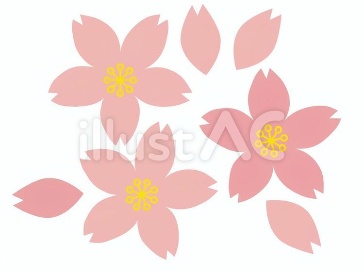 さくらと花びら 春,卒業,桜のイラスト素材