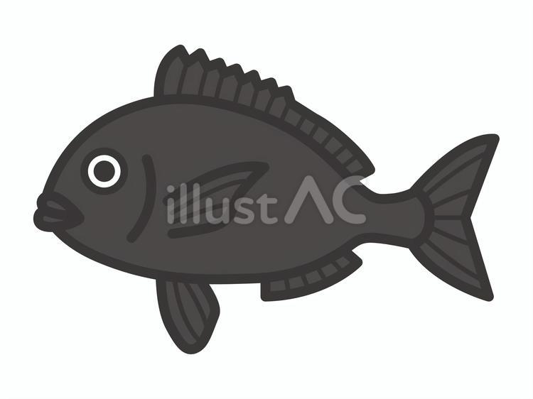 鯛02 鯛,魚,アイコンのイラスト素材