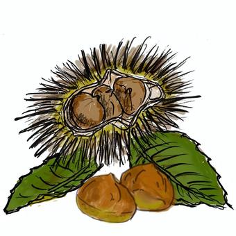 栗 栗 栗,秋,果物,実り,摘む,栗拾い,季節,果樹園,モンブラン,美味しいのイラスト素材