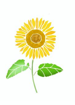 sunflower, , JPG and PNG