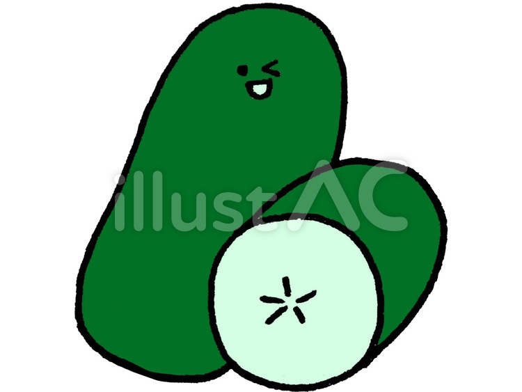 冬瓜イラスト No 無料イラストなら イラストac