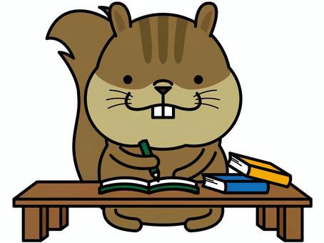 リスさん 勉強 リスさん 勉強 宿題,勉強,リス,机,本,ノート,教科書,鉛筆,動物,キャラクターのイラスト素材