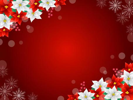 冬、ポインセチアのフレーム、背景24