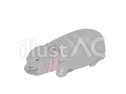 コビトカバ(眠る・主線なし)