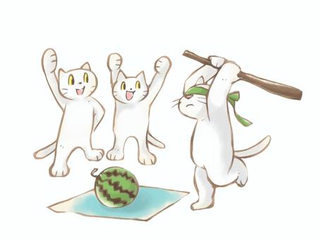 スイカ割りをする猫たち 猫,スイカ割り,スイカ,なかよし,こども,お楽しみ会,手描き,カットイラスト,挿絵,動物のイラスト素材