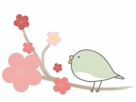 Illustrations, JPG, PNG and AI Illustrations, rouxinol, primavera, pássaro, JPG, PNG and AI