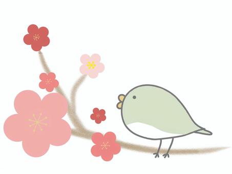 Illustrations, nice, spring, bird, JPG, PNG and AI