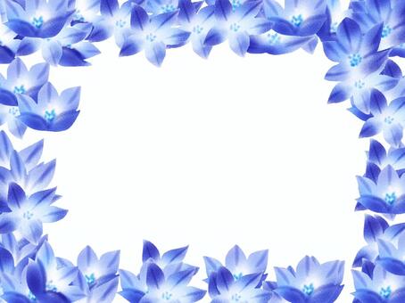 ７月２日の誕生花イラスト 無料イラストなら イラストac