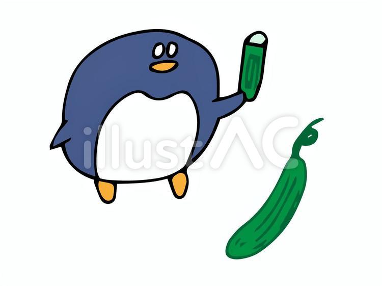 きゅうりとペンギン ペンギン,きゅうり,胡瓜のイラスト素材