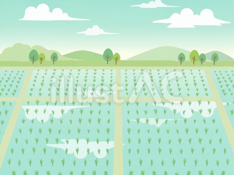田植えシーズン田園風景 田,田園,田植えのイラスト素材