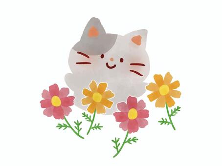 コスモスと猫 コスモス,猫,花,秋,動物,絵本,ふんわり,可愛い,ゆるかわ,ゆるいのイラスト素材