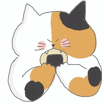 せんべい かわいい,せんべい,和菓子,おやつ,食べ物,のり,食べる,いただきます,ねこ,三毛猫のイラスト素材