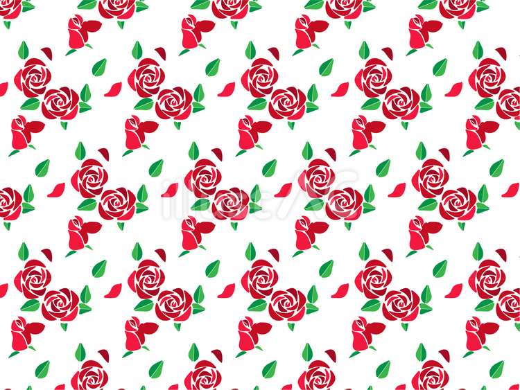 赤い薔薇の花と葉っぱの背景 薔薇,背景,壁紙のイラスト素材