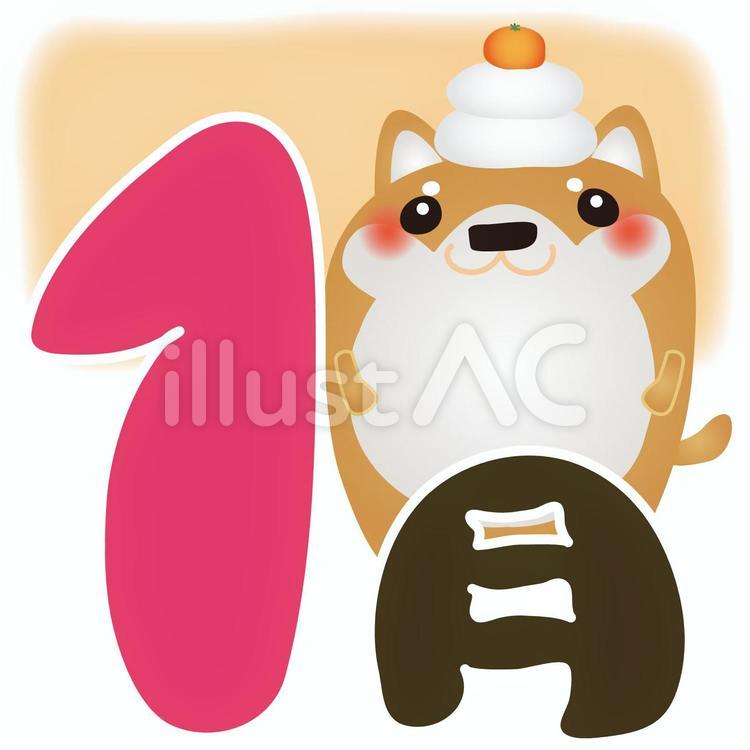 柴犬1月 犬,カレンダー,1月のイラスト素材