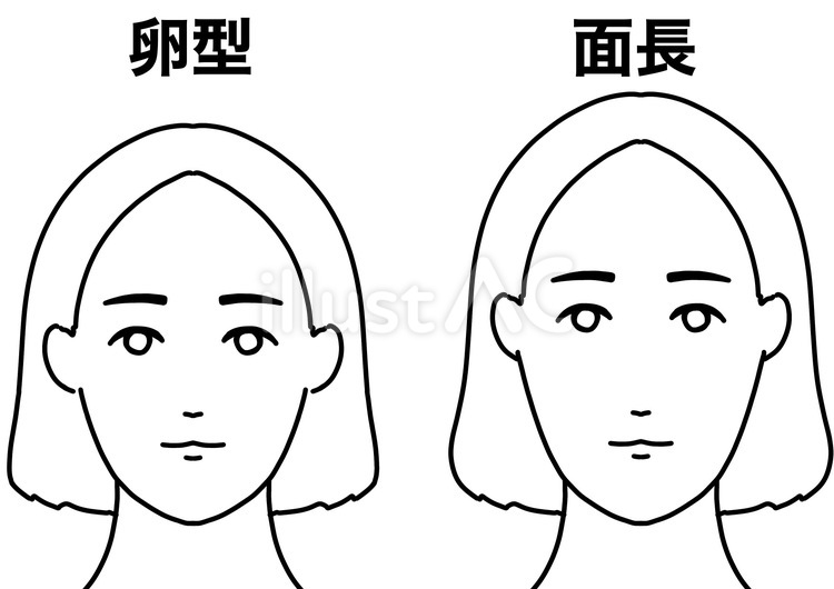 卵型と面長の顔の形比較　線画 顔,卵型,面長のイラスト素材