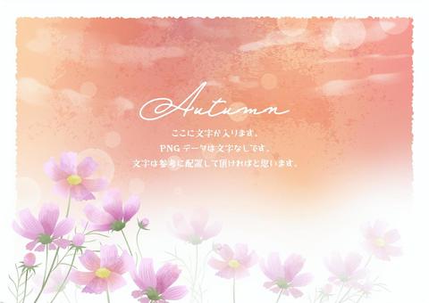 秋の空と咲き誇る秋桜たちの背景 秋,初秋,コスモス,秋桜,ボタニカル,花,植物,野原,自然,空のイラスト素材