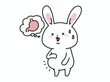 胃に違和感を感じるウサギのイラスト うさぎ,胃,胃袋,腹痛,胃痛,胃もたれ,食べ過ぎ,飲み過ぎ,消化不良,内臓脂肪のイラスト素材