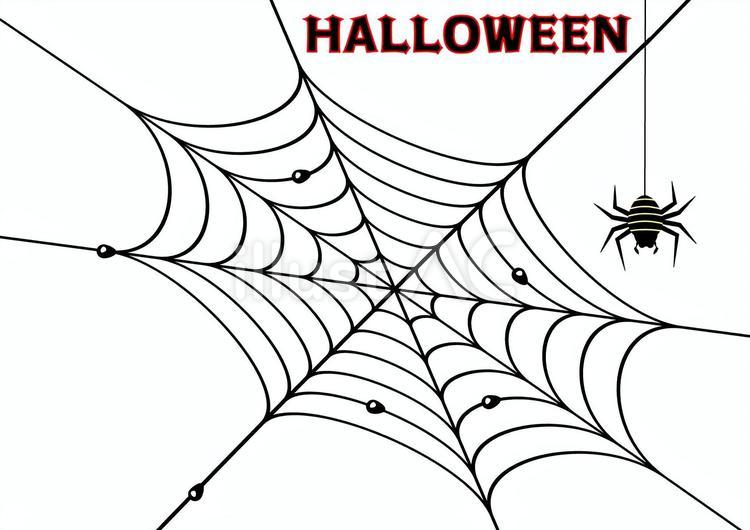 ハロウィンの蜘蛛の巣と糸で下がるクモ 蜘蛛,クモ,ハロウィンのイラスト素材