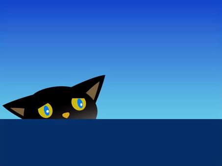 猫　イカ耳　怖い cat,黒猫,背景,壁紙,カラフル,イカ耳,警戒,怖い,好奇心,不思議のイラスト素材
