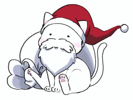 Santa cat A, , JPG