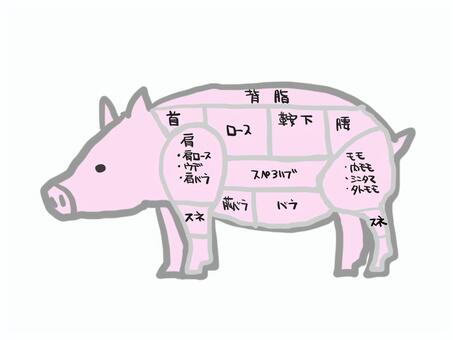 ブタのお肉の部位 豚肉,名称,体,ロース,モモ,バラ,動物のイラスト素材