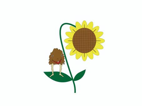 sunflower, JPG and EPS sunflower, , JPG and EPS