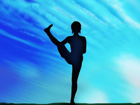 Bird of Paradise pose, JPG Bird of Paradise pose, bird of paradise pose, yoga pose, yoga, JPG