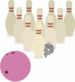 Bowling_cat_mackerel tiger, , JPG, PNG and AI