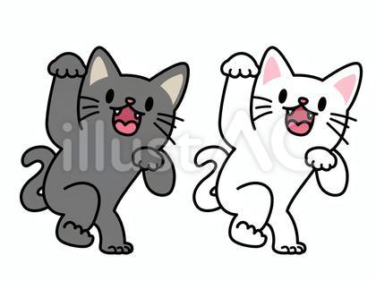 威嚇するネコ