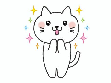 感動をする猫 猫,感動,キラキラ,うるうる,感謝,感激,希望,嬉しい,期待,笑顔のイラスト素材