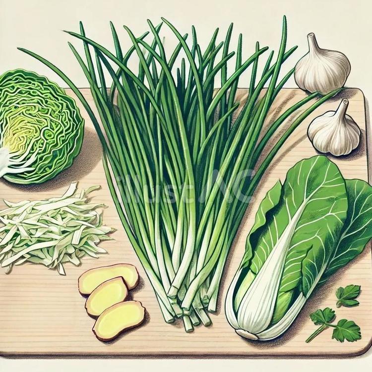 中華料理の準備用野菜セット キャベツ,ニラ,青梗菜のイラスト素材
