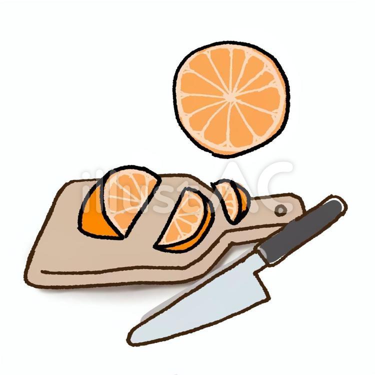 柑橘類のカット方法 オレンジ,ミカン,柑橘類のイラスト素材