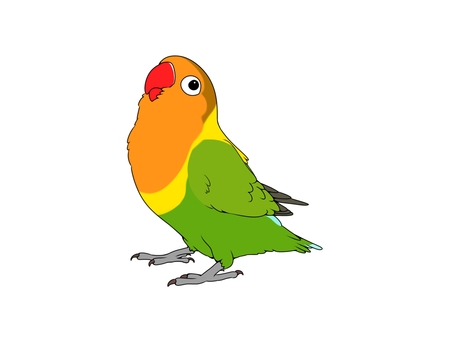 ボタンインコ・ルリコシボタン ボタンインコ・ルリコシボタン 鳥,インコ,かわいい,ペット,手乗り,無料,フリー,素材,カラフル,ボタンインコのイラスト素材