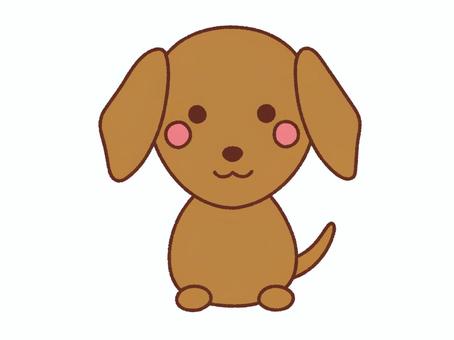 Dog_Miniature Dachshund_2, JPG 和 PNG Dog_Miniature Dachshund_2, , JPG 和 PNG