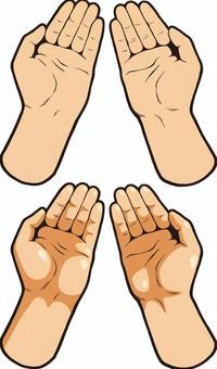 手の表情・22 手の表情・22 手,掌,人間のイラスト素材