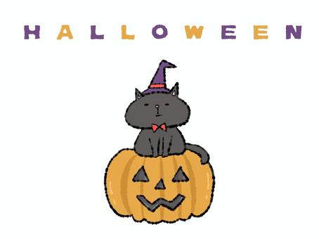 ハロウィン魔女ニャンコ（黒猫） ハロウィン,秋,10月31日,お祭り,イベント,パーティー,仮装,かぼちゃ,ジャックオランタン,お化けのイラスト素材