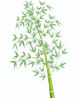 Sasatake Simple Real Touch, JPG and PNG Sasatake Simple Real Touch, bamboo grass, tanabata, event, JPG and PNG
