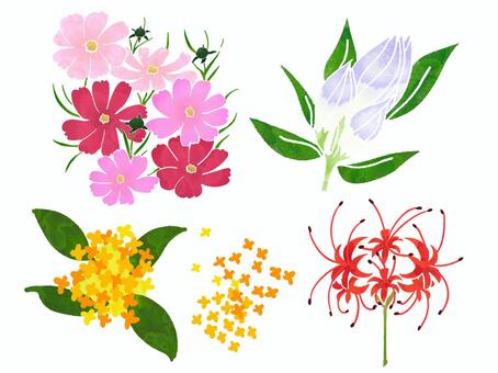 秋のお花セット 竜胆,秋の花,秋,秋の花セット,詰め合わせ,コスモス,秋桜,彼岸花,ヒガンバナ,曼珠沙華のイラスト素材