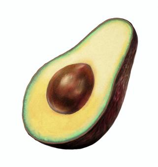 アボカド イラスト 素材 アボカド イラスト 素材 アボカド,食べ物,植物,アイコン,アート,リアル,イラスト,素材のイラスト素材