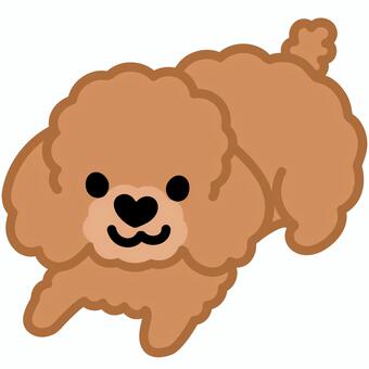 ハート鼻のプードル（ふせ）1 プードル,トイプードル,犬,動物,ハート,鼻,ふせ,シンプル,かわいい,キュートのイラスト素材