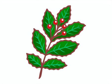 赤い実のついたヒイラギ（線あり） クリスマス,ヒイラギの実,聖夜,イヴ,冬,12月,イベント,ホリデー,web素材,ウェブのイラスト素材