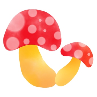 きのこ1, champignons, légumes, nourriture, JPG and PNG
